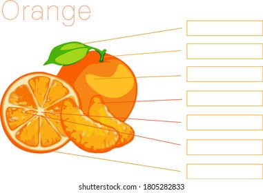 Orange fruit component, Fill in the blank, Concept of food education. Vector illustration.