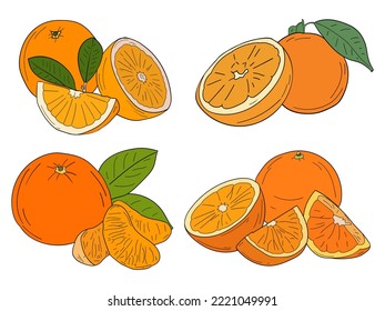 El fruto de naranja se compone de cuatro grupos de opciones. Editable ya que es un archivo vectorial.
