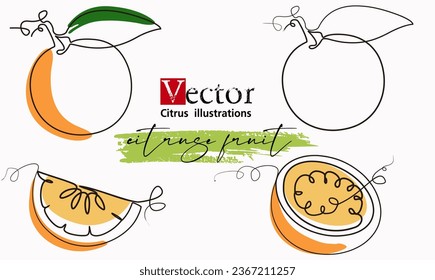 afiche de línea continua de frutas anaranjadas, ilustración de una línea dividida en naranja, dibujo de línea continua de cítricos. Un concepto de frutas tropicales de una sola línea de color naranja. Minimalismo de estilo moderno para logotipo, icono, 