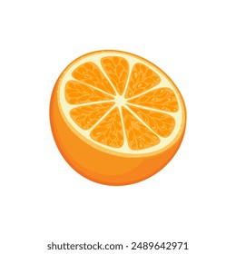 Orangenfrüchte, halbiert, isoliert auf weißem Hintergrund. Vektorgrafik Cartoon flache Illustration von Zitrusfrüchten. Lebensmittel-Symbol.
