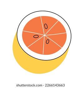 Orange fruit cut in halves illustration, cartoon doodle illustration isolated on white background. Simple hand drawn art, doodle icon