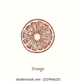  Orange fruit cut slice. Ink doodle drawing in woodcut style
