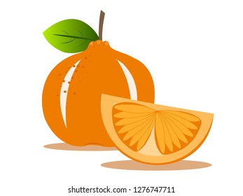 orange fruit with cutting shapes vector