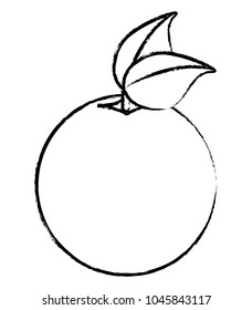 orange fruit design