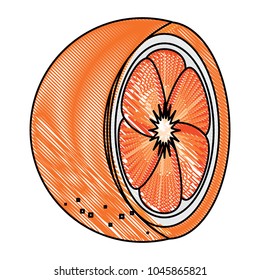 orange fruit design