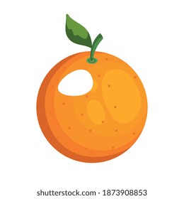 orange fruit design, healthy organic food theme Vector illustration