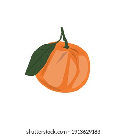 Orange Fruit design idea vector flat ilustration