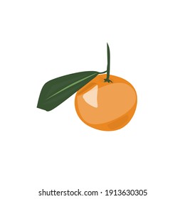 Orange Fruit design idea vector flat ilustration
