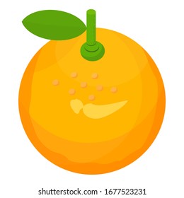 Orange fruit design. illustration of lime fruit. lime with a cartoon style.