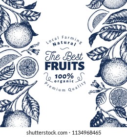 Orange fruit design template. Hand drawn vector fruit illustration. Engraved style banner. Retro citrus background.