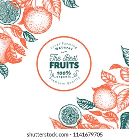 Orange fruit design template. Hand drawn vector fruit illustration. Engraved style banner. Retro citrus background.