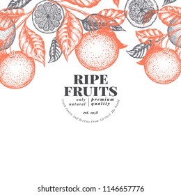 Orange fruit design template. Hand drawn vector fruit illustration. Engraved style vintage citrus background.