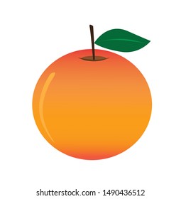orange fruit design, white background