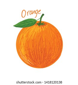 Orange, fruit doodle drawings vector illustration.