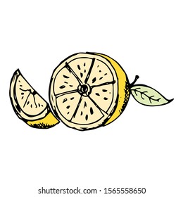 Orange Fruit Doodle Icon Vector 