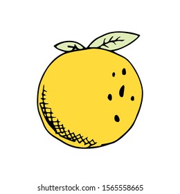 Orange Fruit Doodle Icon Vector 