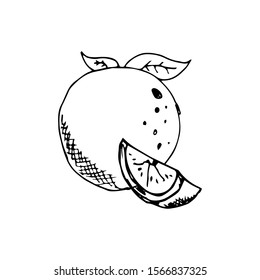 Orange Fruit Doodle Icon Vector