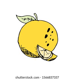 Orange Fruit Doodle Icon Vector