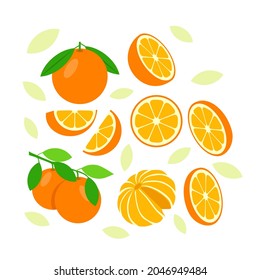 Orange fruit elements abstract vector design background for packaging design