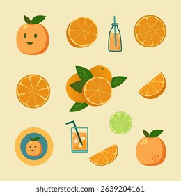 Orange fruit elements set. Orange juice, drink and cocktail.