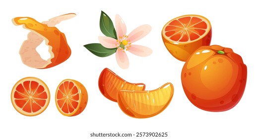 Orange fruit elements set with peeled spiral skin, citrus slice, whole, half fruits and blossom. Fresh tangerine composition showing pink flowers with green leaves, juicy segments, bright peel pieces.