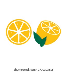 Orangefarbene Obstplantage einzeln auf weißem Hintergrund. Vektorgrafik. EPS10.