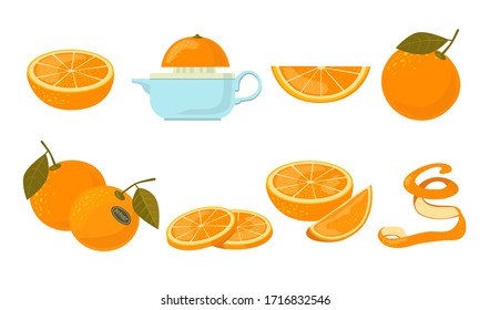 Orange fruit flat icon kit. Segmented or whole oranges vector illustration set. Vitamin and healthy fresh food concept