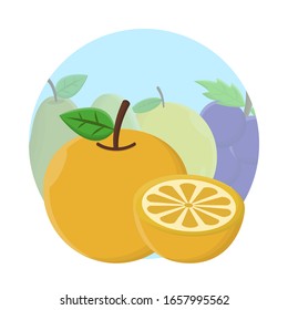 Orange Fruit Flat Icon Vector