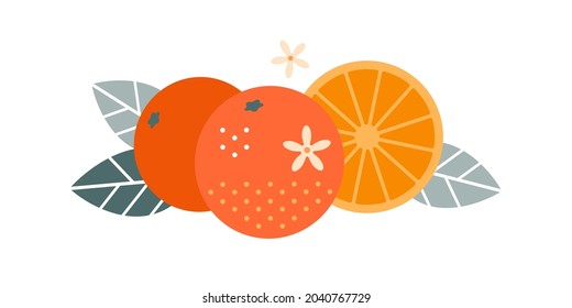 Orange fruit. Flat illustration. Whole and cut fruits, leaves and flowers.