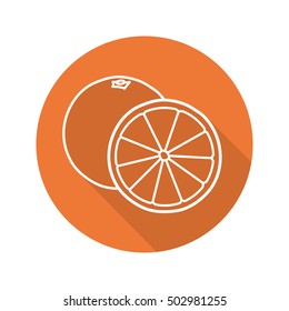 Orange fruit flat linear long shadow icon. Vector line symbol