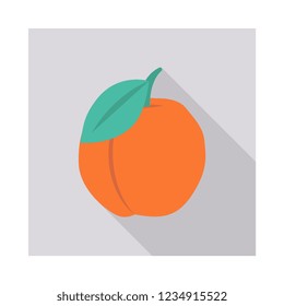 orange   fruit  food 