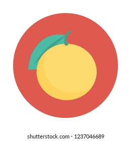 orange   fruit   food 