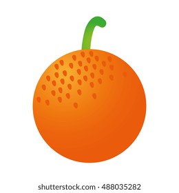 orange fruit food