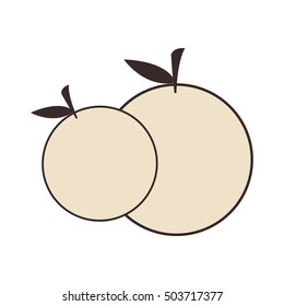 orange fruit food
