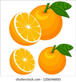 Orange fruit with a green leaf isolated. Vector illustration Eps 10.vector high detail. Detailed realistic ripe fresh Oranges.