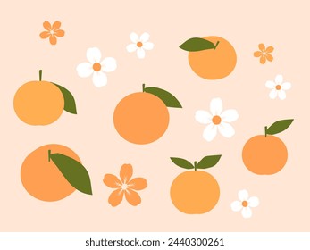 Orange fruit, green leaves and cute flower on orange background vector. 