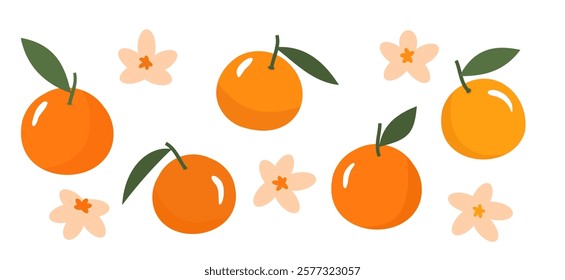 Orange fruit with green leaves and cute flower icon sign isolated on white background vector.