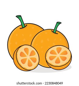orange, orange fruit, half slice orange, fresh orange fruit  cartoon vector logo icon design illustration wallpaper background