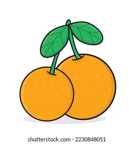 orange, orange fruit, half slice orange, fresh orange fruit  cartoon vector logo icon design illustration wallpaper background