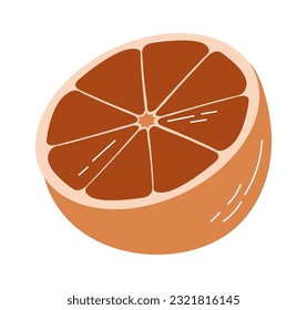 Orange Fruit Half Vector Illustration
