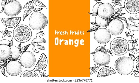 Orange fruit hand drawn design. Vector illustration. Design, package, brochure illustration. Orange fruit frame illustration. Sketch Design elements for packaging design and other.