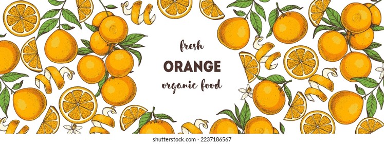 Orange fruit hand drawn design. Vector illustration. Design, package, brochure illustration. Orange fruit frame illustration. Design elements for packaging design and other.