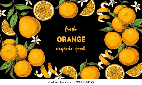 Orange fruit hand drawn design. Vector illustration. Design, package, brochure illustration. Orange fruit frame illustration. Design elements for packaging design and other.