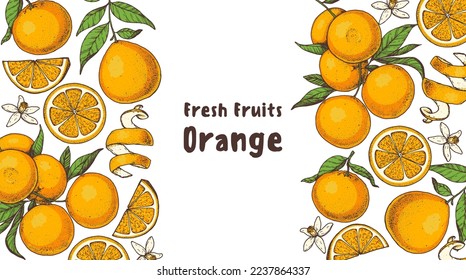 Orange fruit hand drawn design. Vector illustration. Design, package, brochure illustration. Orange fruit frame illustration. Design elements for packaging design and other.