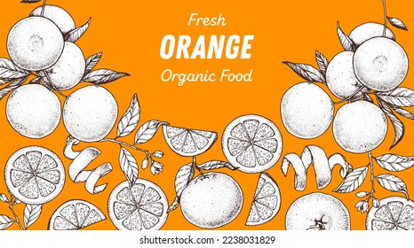 Orange fruit hand drawn design. Vector illustration. Design, package, brochure illustration. Orange fruit frame illustration. Design elements for packaging design and other.