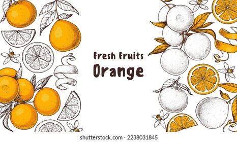 Diseño hecho a mano con fruta naranja. Ilustración vectorial. Diseño, paquete, ilustración de folleto. Ilustración del marco de la fruta naranja. Elementos de diseño para el diseño de envases y otros.