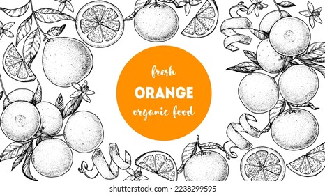 Orange fruit hand drawn design. Vector illustration. Design, package, brochure illustration. Orange fruit frame illustration. Design elements for packaging design and other.