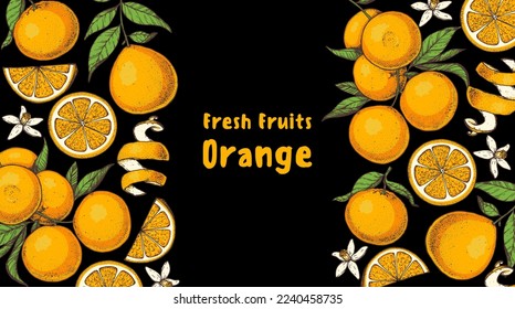 Orange fruit hand drawn design. Vector illustration. Design, package, brochure illustration. Orange fruit frame illustration. Design elements for packaging design and other.