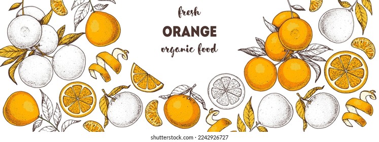 Orange fruit hand drawn design. Vector illustration. Design, package, brochure illustration. Orange fruit frame illustration. Design elements for packaging design and other.