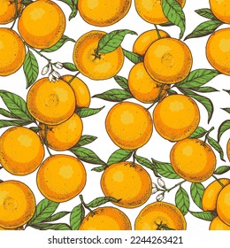 Orange fruit hand drawn design. Seamless pattern. Vector illustration. Design, package, brochure illustration. Orange fruit background. Design for packaging design and other.